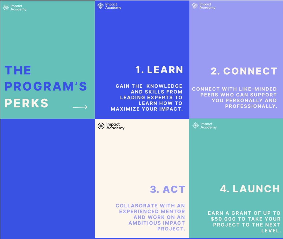 Impact Academy programme steps: learn, connect, act and launch