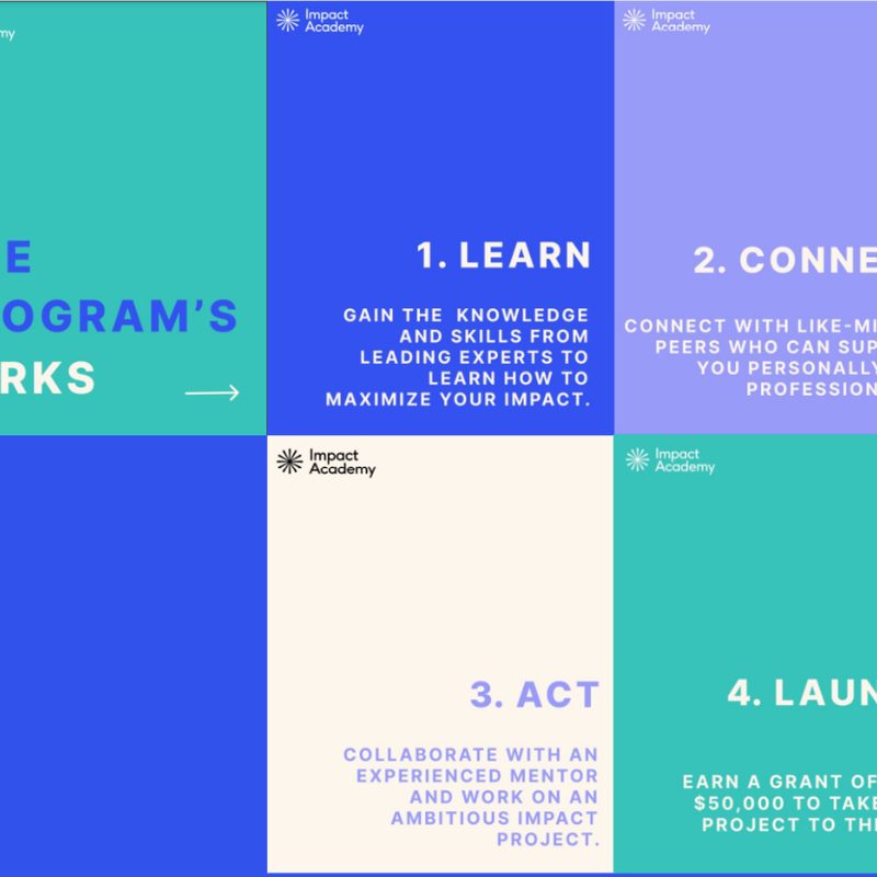 Impact Academy programme steps: learn, connect, act, launch