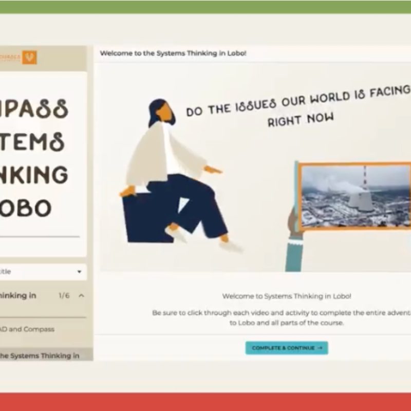 Systems Thinking in Lobo online course